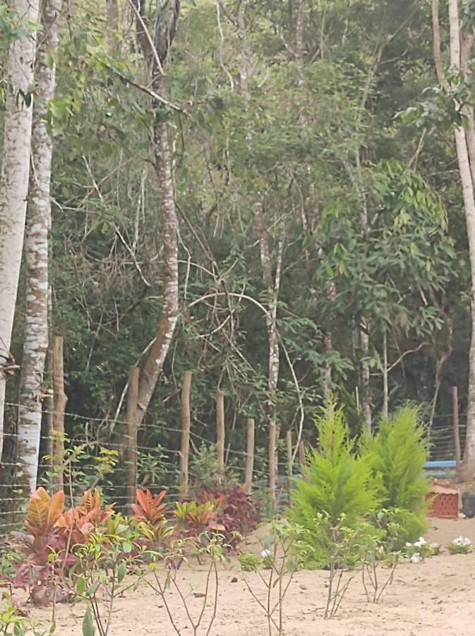 Casa De Campo Banheira, Lareira E Cachoeira 佩德拉阿祖尔 外观 照片