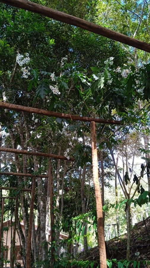 Casa De Campo Banheira, Lareira E Cachoeira 佩德拉阿祖尔 外观 照片